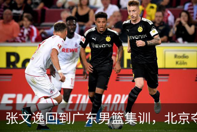 张文逸回到广东男篮集训，北京夺冠功勋确定退役，上海欲续约弗格
